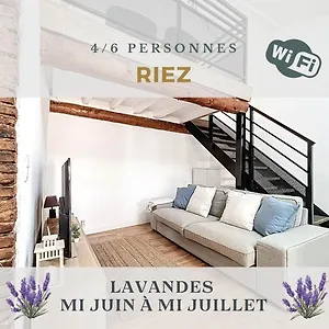  Appartement Duplex Sous Les Toits